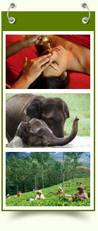 tour package in kerala