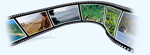 tour packages in kerala