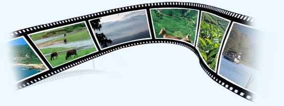 tour packages in kerala