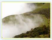 munnar tourism