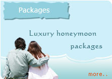 Dheko Kerala Providing  Kerala tourism, tree house stay and backwaters kerala